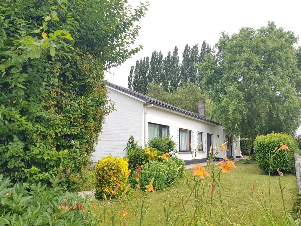Mary'S Poppies - Bed & Breakfast Blandain Eksteriør billede